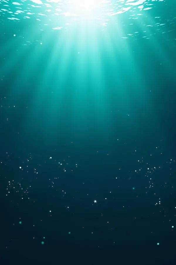 蔚蓝之海 电影网站在线观看 蔚蓝之海